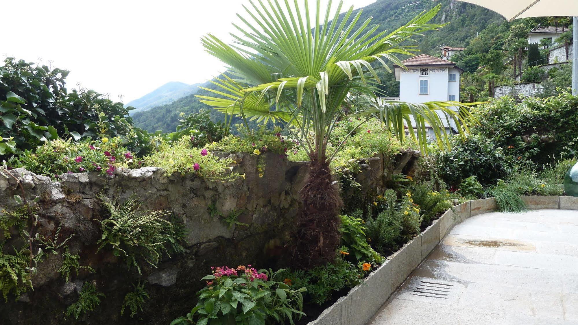B&B Casa Forster Cannero Riviera Εξωτερικό φωτογραφία